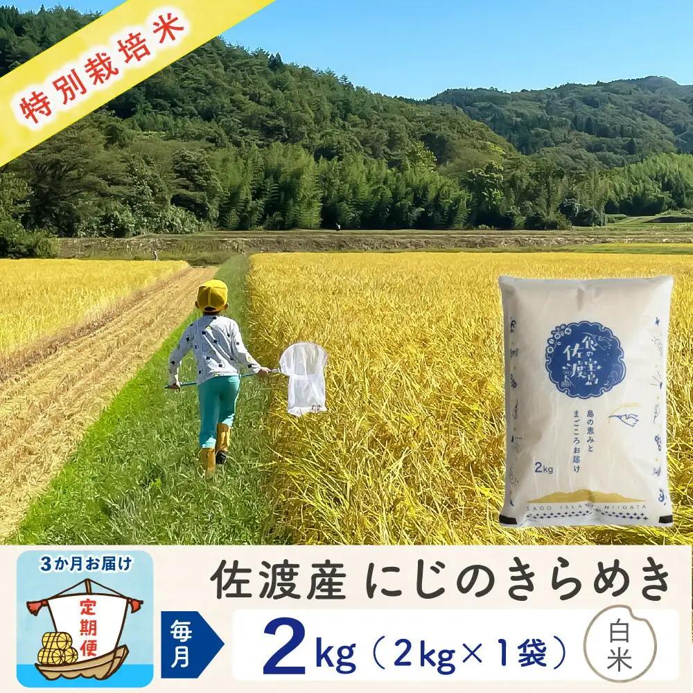 佐渡島産【3か月定期便 にじのきらめき】佐渡島産にじのきらめき 白米 合計6kg（2kg×毎月お届け全3回）令和8年産 新米 特別栽培米 195962-3411