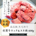 【ふるさと納税】《佐賀牛》梁井 旨味たっぷり ネック＆スネ肉 600g【佐賀牛 スジ肉 赤身 コラーゲン ぷるぷる ほろほろ トロける スネ すね 煮込み料理 カレー シチュー 美味しい ブランド肉】 A3-R081005