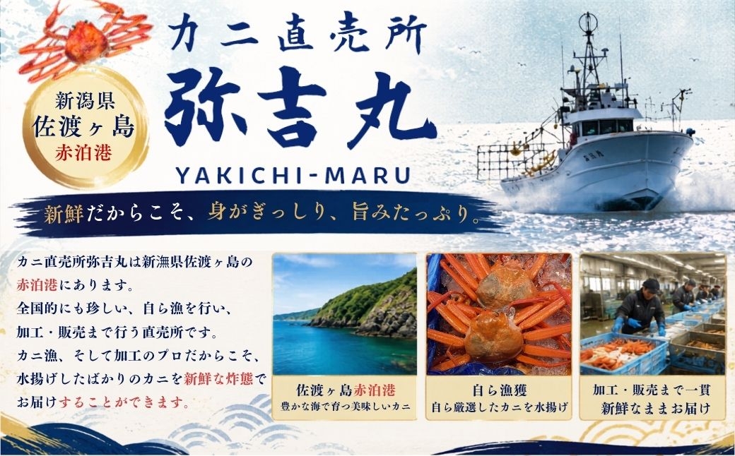 佐渡島産 浜茹で紅ズワイガニ