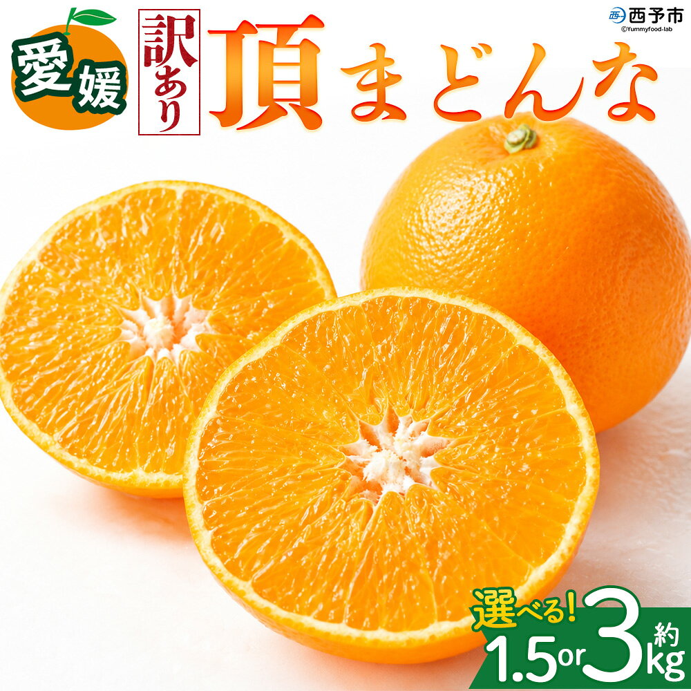 【ふるさと納税】＜【訳あり】愛媛県産 頂まどんな 約1.5kg／3kg＞『2026年11月下旬～1月上旬迄順次発送予定』 選べる 容量 内容量 わけあり 高級柑橘 みかん 蜜柑 果物 くだもの フルーツ ミカン 果汁 国産 特産品 株式会社三代目みかん職人 愛媛 西予市【常温】