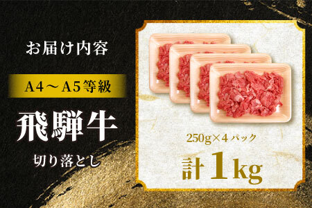 飛騨牛 切り落とし 1kg（250g×4P） A5 A4 国産 牛 黒毛和牛 和牛 牛肉 薄切り 訳あり 牛丼 すき焼き しゃぶしゃぶ 肉のひぐち