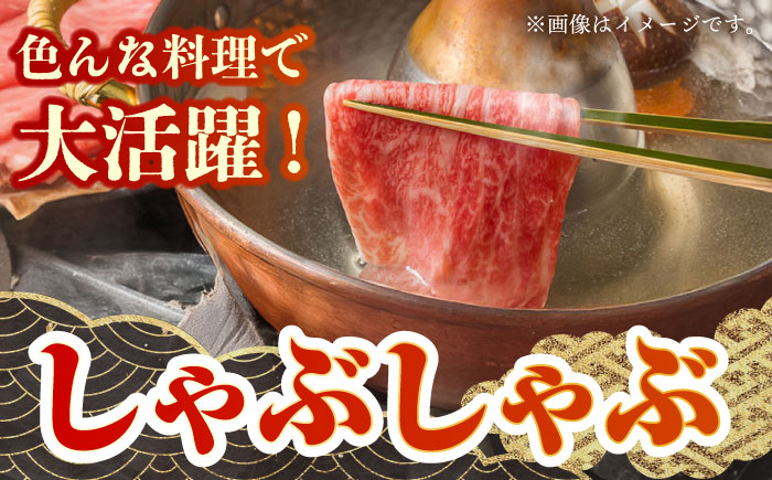 【切りたての圧倒的な美味さ】佐賀牛 ロース切り落とし 500g（【肉の三栄】 [HAA111]