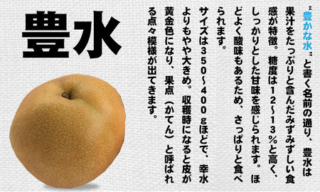 【予約開始！】豊水 梨（５kg）親子三世代 農家 合六果樹園  B120-004
