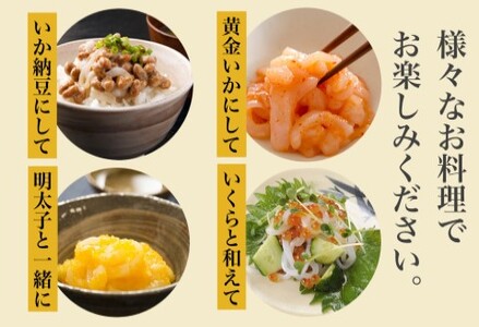 道水 真いかお造りジャングル1kg（500g×2袋） いか刺身 いかそうめん 完全無添加_HD108-012