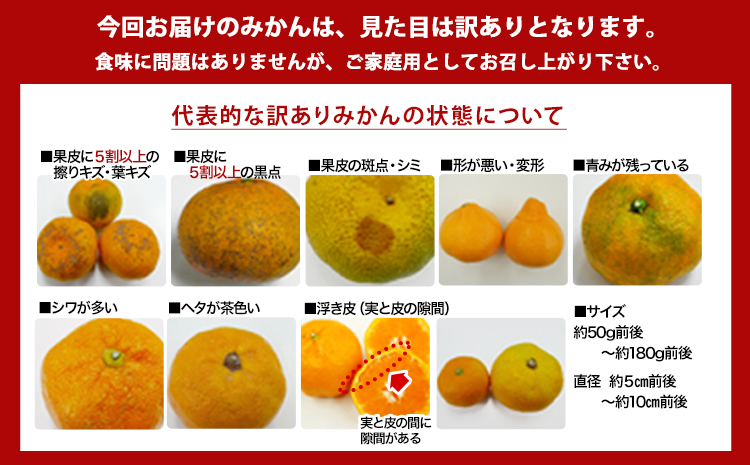 【訳あり/ご家庭用】 先行予約 和歌山県産みかん 約5kg【サイズ混合】 サンファーム《10月上旬-1月下旬頃出荷》和歌山県 紀の川市 みかん ミカン 柑橘 果肉