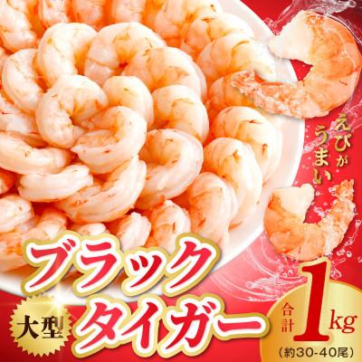 ふるさと納税 泉佐野市 高級ブラックタイガー 1kg 大型 むきえび 30-40尾 背ワタなし kgp0111