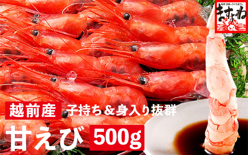 
                  福井県産 越前 子持ち 甘えび 500g【 増米 ますよね 敦賀 甘エビ えび エビ 海老 冷凍 急速冷凍 お中元 御中元 ギフト 贈り物 プレゼント】[001-a021_A(20)]
                