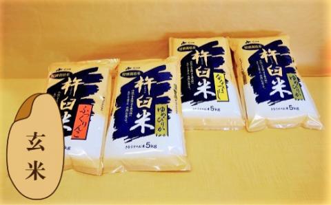 【玄米2ヶ月定期便】特別栽培「きなうす米」3品種セット10kg×2回