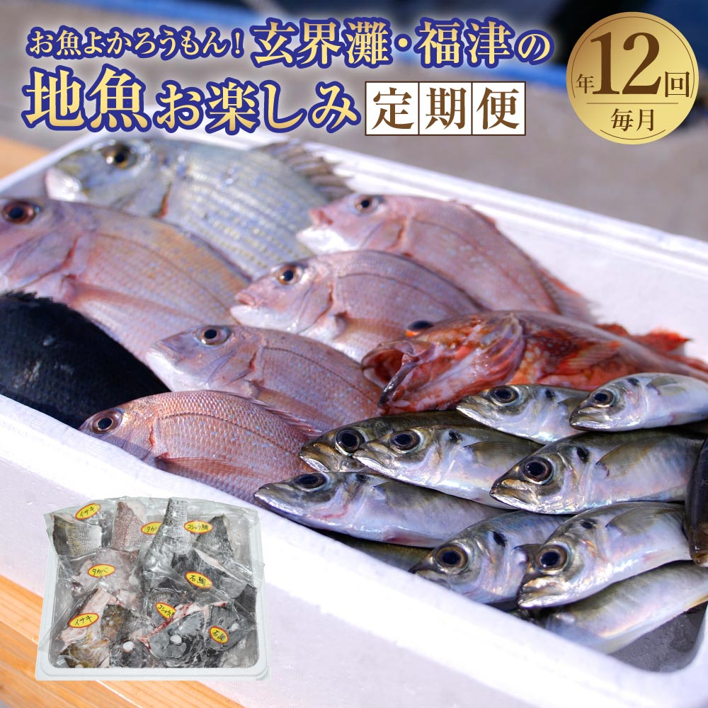 【ふるさと納税】【年12回毎月定期便】お魚よかろうもん！玄界灘・福津の地魚お楽しみ定期便 【冷凍】【随時開始】 玄界灘 福津市 九州産 国産 サザエ 地魚 海鮮 海の幸 魚介 魚介類 旬の魚 おまかせ 冷凍 送料無料 [G7014]