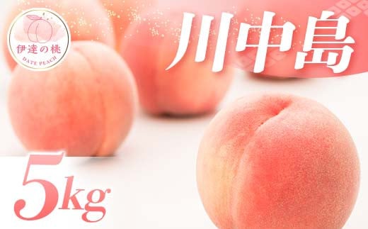 【2025年出荷分 先行予約】福島県産 川中島白桃 5kg 特秀 2025年8月中旬～2025年8月下旬発送 透過式光センサー選別 先行予約 予約 白桃 大玉 伊達の桃 桃 もも モモ 果物 くだもの フルーツ 国産 食品 F20C-126