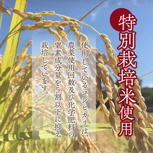 【米粉の玄米麺（麺のみ）】2食入×5袋　特別栽培『コシヒカリ』使用 [h020]