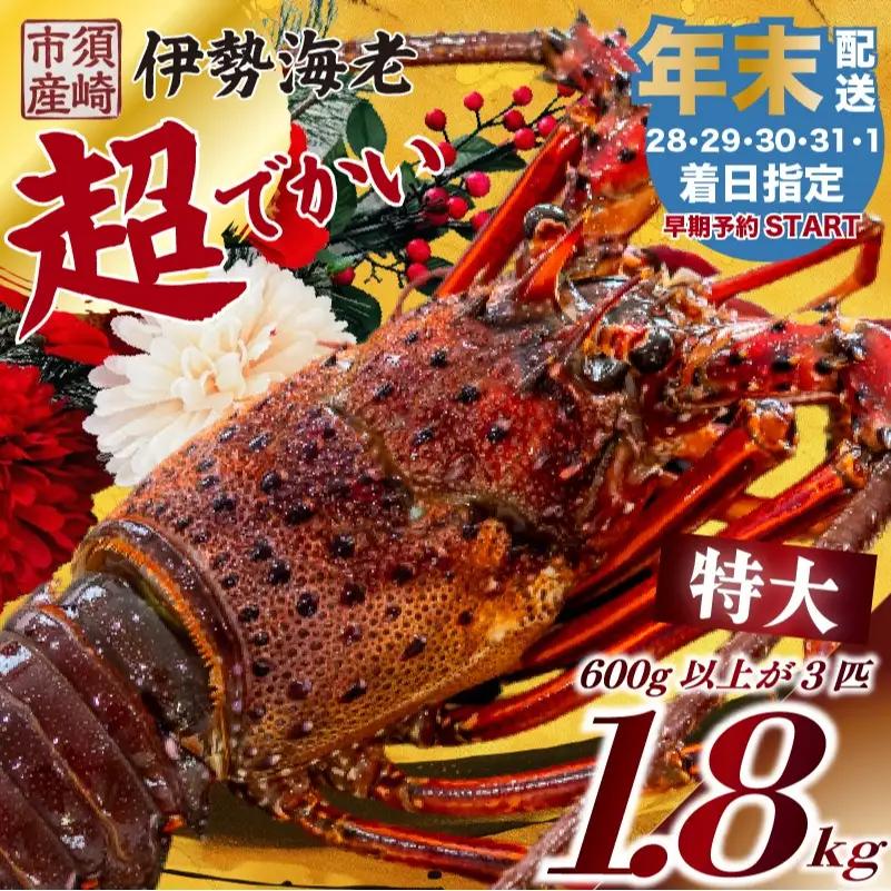 【伊勢海老】 【年末予約配送･30日着】特大伊勢海老 3匹