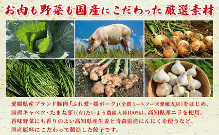 ＜愛媛のおいしい餃子セット サクッとジューシー餃子 125個(25個×5袋)＞ぎょうざ ギョーザ 餃子 国産 ジューシー パリッ 国産野菜 ブランド豚 鍋 浅野食品 愛媛県 西予市【冷凍】『1か月以内