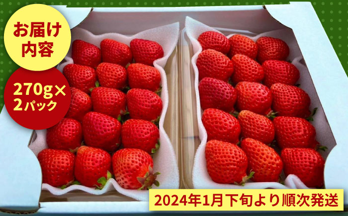 【2月下旬より発送】農家直送 朝採り新鮮いちご【博多あまおう】約270g×2＜株式会社H&Futures＞那珂川市 [GDS003]