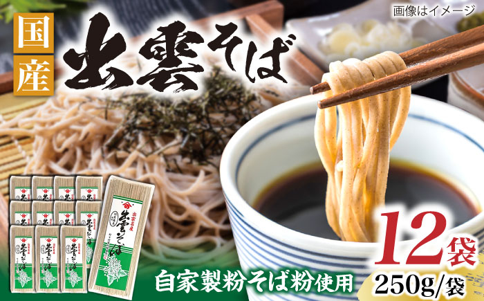 
            昔ながらの出雲そば 250g×12袋 | そば 出雲そば うどん 麺 出雲 島根県雲南市/野々村製粉製麺所 [AICE002]
          