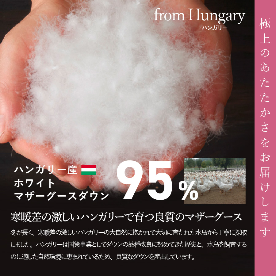 【甲州羽毛肌掛けふとん】ハンガリープレミアムマザーグースダウン95%超長綿 ホワイト (ダブル) 羽毛布団