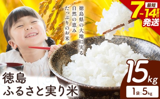 ＼7~14営業日以内に発送／ もちもち美味しい！ 徳島ふるさと実り米 精米 15kg 徳島県 上板町 お米 米 白米