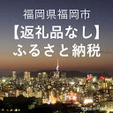 【ふるさと納税】福岡県福岡市への寄付（返礼品はありません） | 福岡県 福岡市 福岡 九州 楽天ふるさと 納税 返礼品無し 返礼品なし 支援 寄附 観光地応援 文化 ワンストップ ワンストップ特例 健康 環境 スポーツ 伝統工芸 農業 高齢者 介護 教育 子供 子ども こども