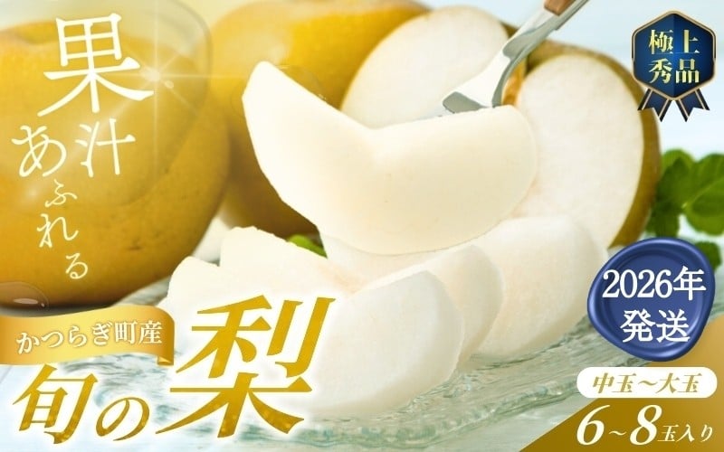 
            【2026年発送分先行予約】 旬の梨 極上 秀品（中玉～大玉）6～8個入り 【2026年8月中旬～9月中旬頃発送予定】【KG23】
          