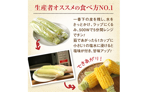 『★先行予約★8月初旬より順次発送』朝どり スイートコーン 25本 北海道産 とうもろこし ふるさと納税 北海道 恵庭市【31000102】_イメージ3