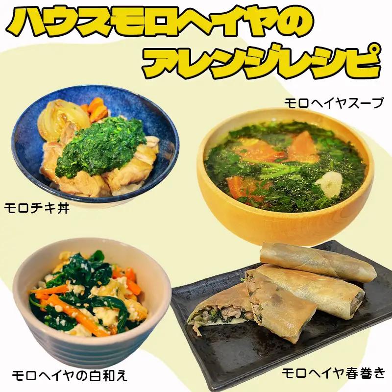 ハウスモロヘイヤ 100g×10袋×3箱 ネバネバ 高栄養価（βカロテン/各種ビタミン/カルシウム/カリウム/葉酸など)