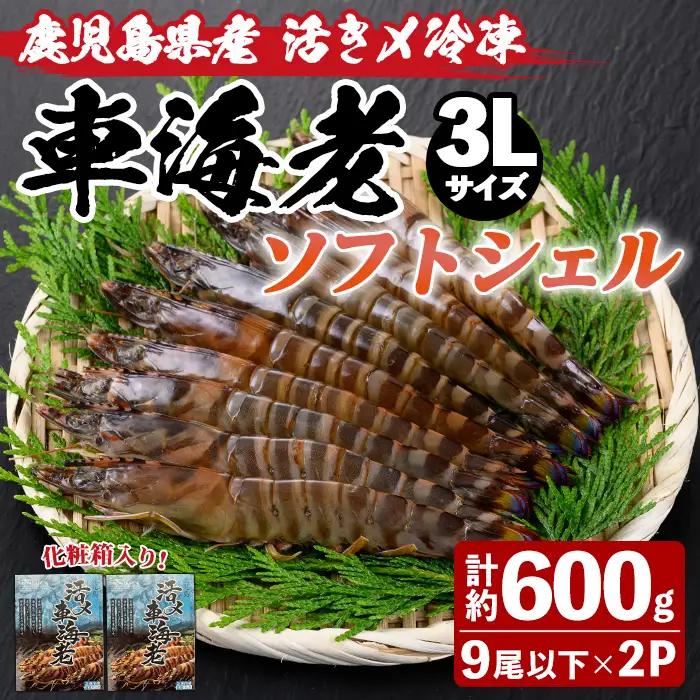 車海老 ソフトシェル 3L・計約600g 冷凍 【車海老】 n433