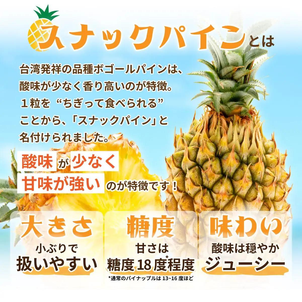 石垣島産 スナックパイン ずっしりの「大玉」3個入り SI-26-1