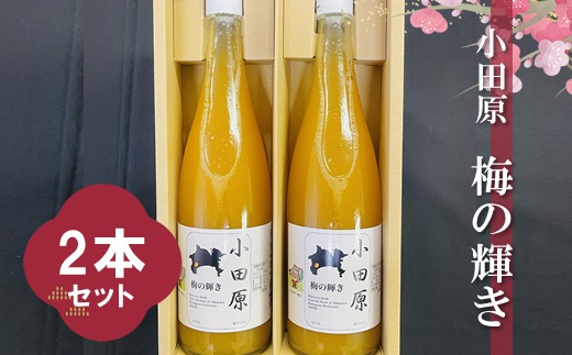 205-3271　小田原 梅の輝き720ML瓶（梅ドリンク）2本セット【 飲み物 ドリンク 神奈川県 小田原市 】