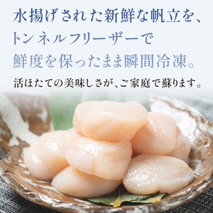 チャック付き 500g×2パック 北海道産 冷凍ホタテ貝柱大 1kg 小分け ＜ワイエスフーズ＞ 海鮮丼 森町 魚貝類 帆立 ホタテ ほたて 魚介類 貝 ふるさと納税 北海道 訳あり mr1-0285