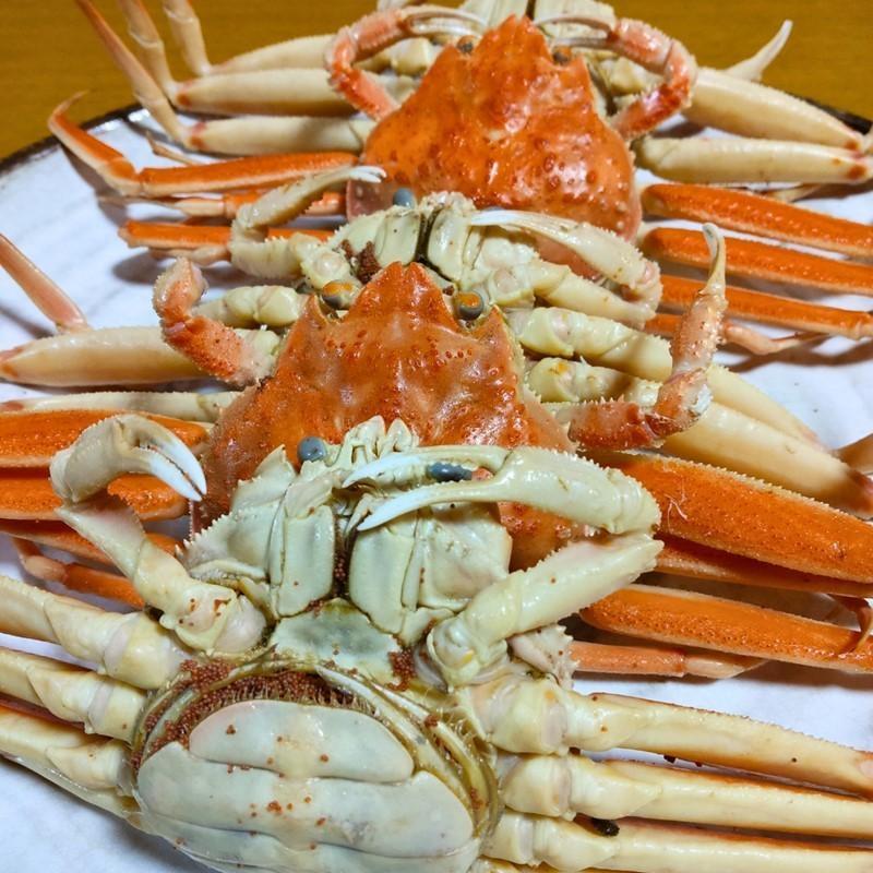 【先行予約】京丹後市より茹でたて プロトン凍結 【 訳あり 】 茹でこっぺがに 香箱ガニ 10匹 蟹 かに カニ 釜茹で こっぺがに 訳あり 訳アリ 京都 京丹後　UM00010