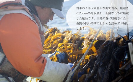 fn-72-003 三陸釜石・漁師直送 湯通し塩蔵わかめ（100g×15袋) 両石港 隆丸