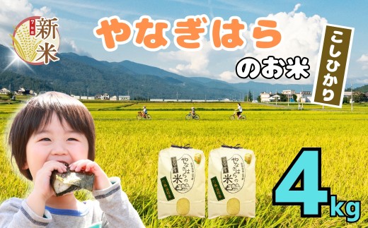 【先行予約】＜令和7年産新米＞ 特別栽培米  「やなぎはらの米 こしひかり」4㎏ (7-66)