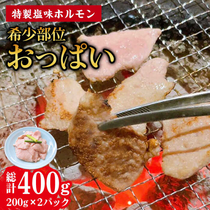 【ふるさと納税】【希少部位おっぱい】特製塩味ホルモン 計400g（200g×2P）/ ホルモン ほるもん 塩ホルモン 豚ホルモン 希少部位 国産 豚 胃袋 焼肉 塩味 BBQ / 大村市 / 塩ホルモンろくめい[ACAO003]