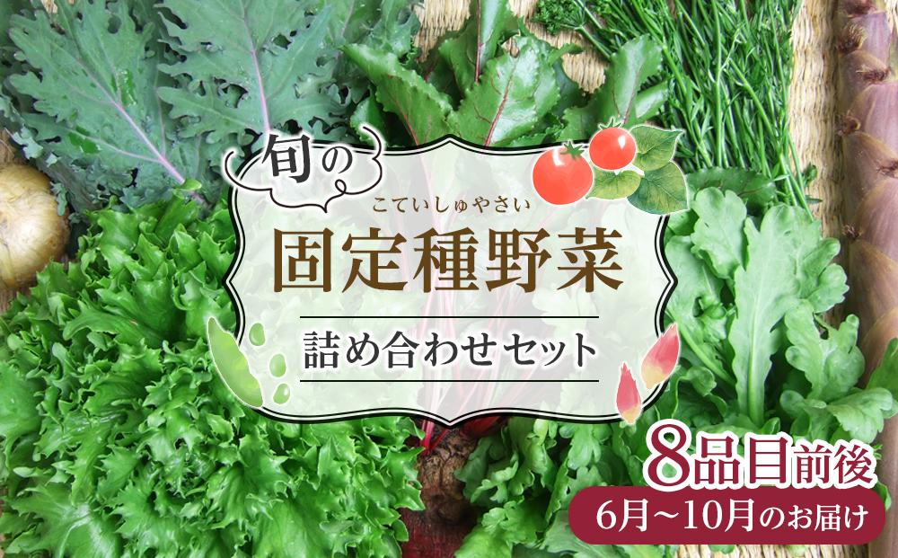 野菜［2024年先行予約］旬の固定種野菜 バイオダイナミック農業 8品目前後（6月～10月のお届け）冷蔵配送 [No.5220-0879]