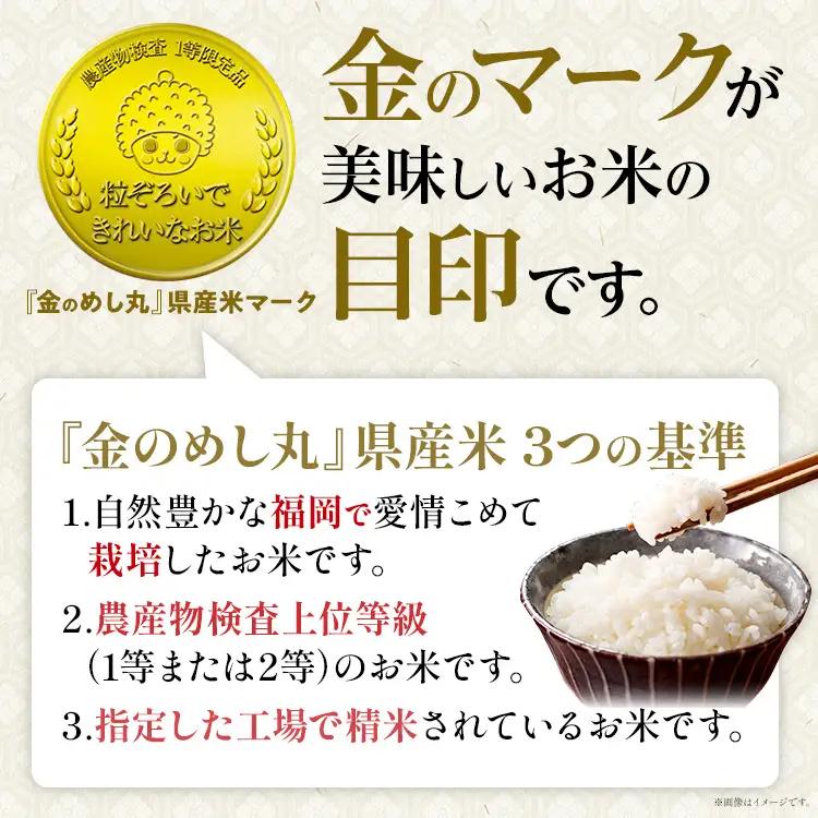 【無洗米】令和7年産 金のめし丸 元気つくし 精米 10kg（5kg×2） 米 無洗米 元気つくし 森光商店 老舗 福岡 お米 ごはん ご飯 お弁当 おにぎり 金のめし丸県産米 福岡ブランド米 めし丸
