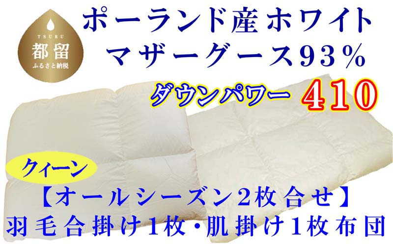 
【合掛け布団・肌布団】ポーランド産マザーグース93％ 羽毛合掛け・肌布団2枚組（クイーン：220cm×210cm）（ダウンパワー410）【サカキュー】｜羽毛布団 羽毛ふとん 羽毛合掛けふとん 合い掛け布団 合い掛けふとん 肌布団
