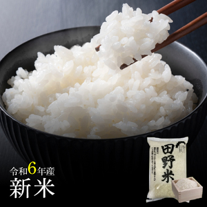 令和6年産 田野米  20kg（5kg×4袋）～精米・白米～