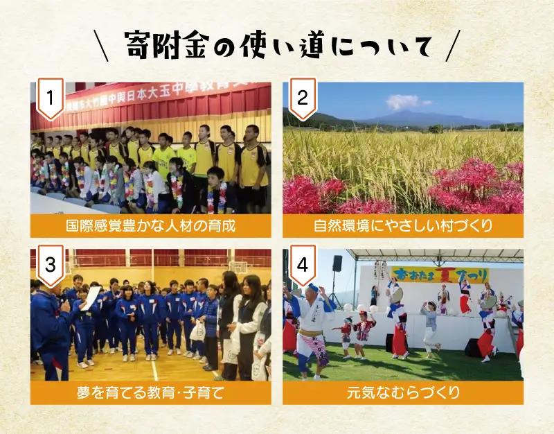 【令和8年分 先行予約】 りんご 約5kg 福島県 大玉村産 林檎 リンゴ サンふじ フルーツ