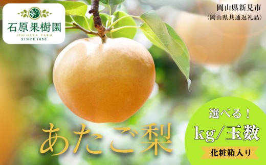
                  容量・kg数選べる！あたご梨 贈答化粧箱 赤秀【先行予約 2026年11月中旬から順次発送】
                
