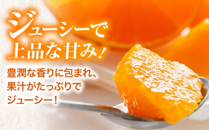 紅まどんな 赤秀 3個入（JA愛媛たいき管内産）