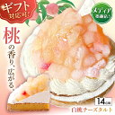 【ふるさと納税】【ギフト対応可能！】白桃チーズタルト1ホール(14cm)【心優　−Cotoyu Sweets−】[KAA389] ケーキ スイーツ 期間限定 洋菓子 長崎県 ホールケーキ タルト 桃 もも モモ フルーツ フルーツケーキ お菓子 お取り寄せ ギフト 贈答