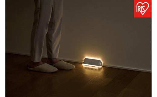 
            乾電池式LEDセンサーライト ダブルセンサー 廊下タイプ　BSL-RWMS
          