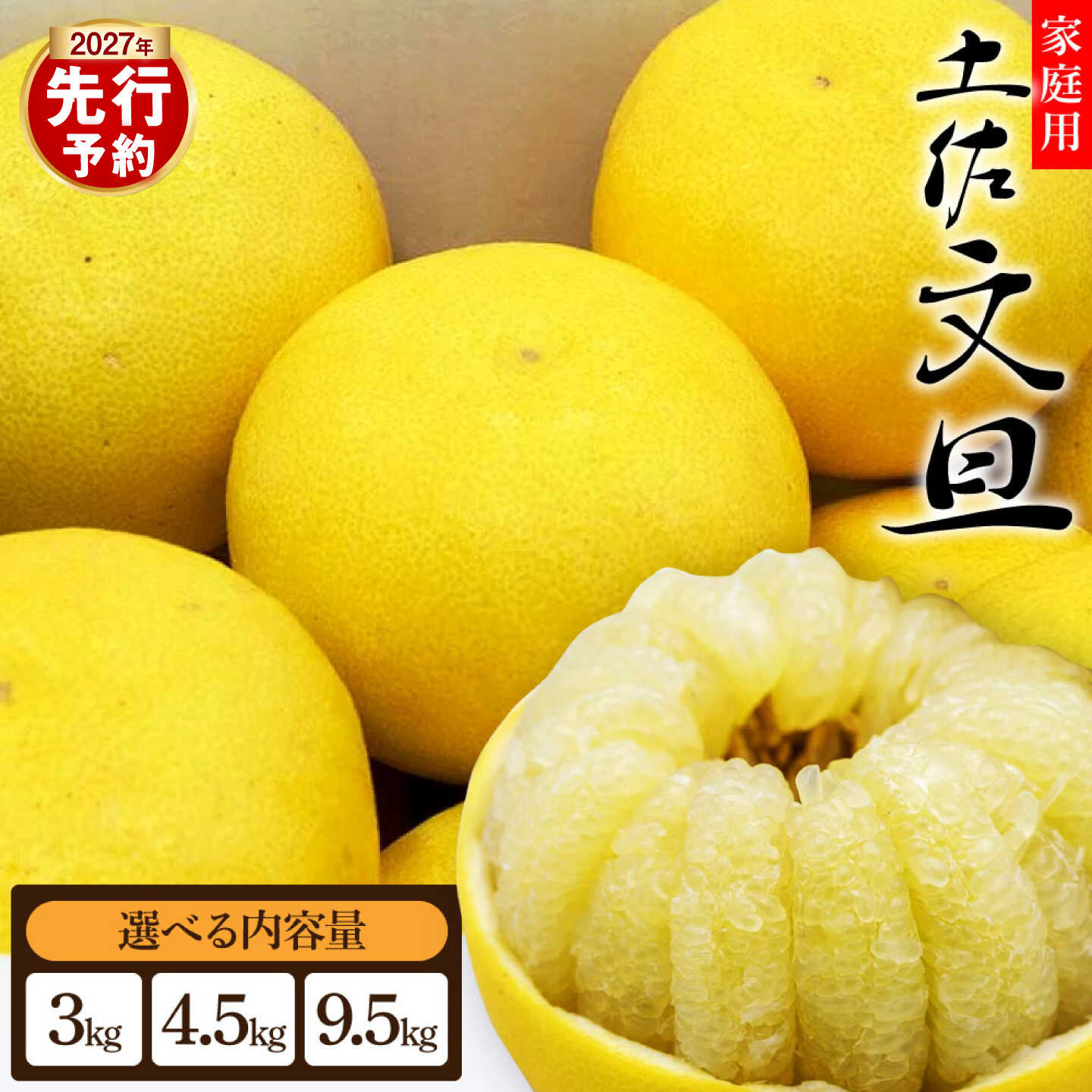 【ふるさと納税】【先行予約】【選べる内容量】土佐文旦 家庭用 サイズ混合2〜4L 3〜9.5kg ＜2027年1月下旬より発送＞土佐文旦 高知 柑橘 フルーツ ぶんたん 果物 甘い 旬 産直 お取り寄せ 季節限定 高知県土佐市/土佐文旦産直協同組合[BQAH010]