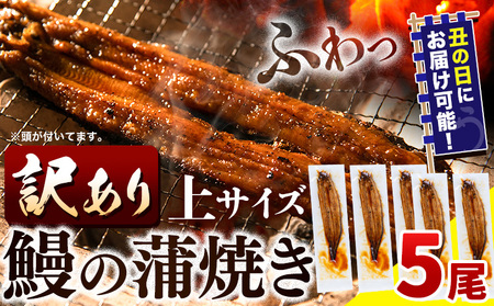 うなぎ 訳あり 鰻の蒲焼 5尾 《7月上旬-7月中旬頃出荷》│ うなぎ 国産 うなぎ 訳あり サイズ不揃い 1尾100g以上 先行予約 土用の丑の日 簡易包装 送料無料 徳島県 上板町