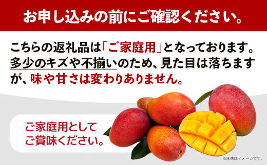 【先行受付】【2026年発送】大城マンゴー農園 マンゴー 家庭用 約2kg - 先行予約 アップルマンゴー 沖縄 産地直送 南国フルーツ 旬の味覚 ご自宅用 オススメ 沖縄県 八重瀬町