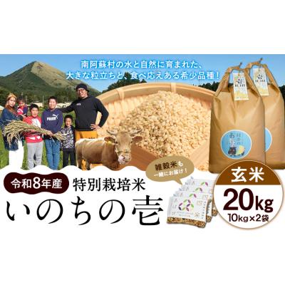 ふるさと納税 南阿蘇村 令和8年産 特別栽培米 いのちの壱 玄米 20kg (10kg×2袋) 雑穀米付き