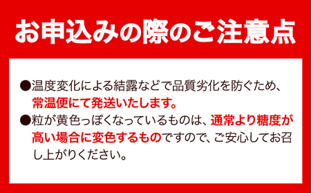 【令和7年度産先行予約】 【3回定期便】マスカット シャインマスカット 1房(約650g)《8月下旬-10月下旬頃出荷》たたらみねらる ギフト 糖度18度以上 フルーツ 種無し ぶどう 葡 Y&G．デ