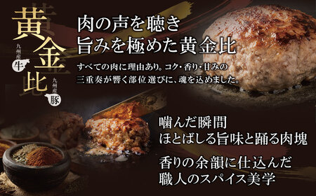 U61-141 極生ハンバーグ 9個セット(150g×9)  ハンバーグ ふるさと納税 ふるさと 納税 ハンバーグ ハンバーグセット 大容量 牛肉 豚肉 洋食 個包装 簡単 冷凍 家庭用 お礼の品 福