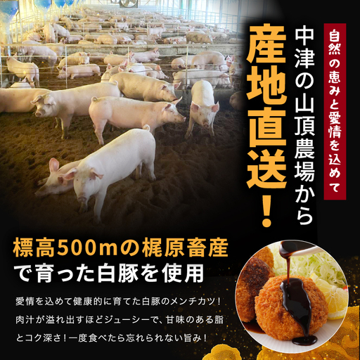 冷凍 メンチカツ 生16個入り ( 4パック ) | お肉 肉 豚肉 白豚 お惣菜 惣菜 おかず 国産 九州産 大分県産 大分県 中津市