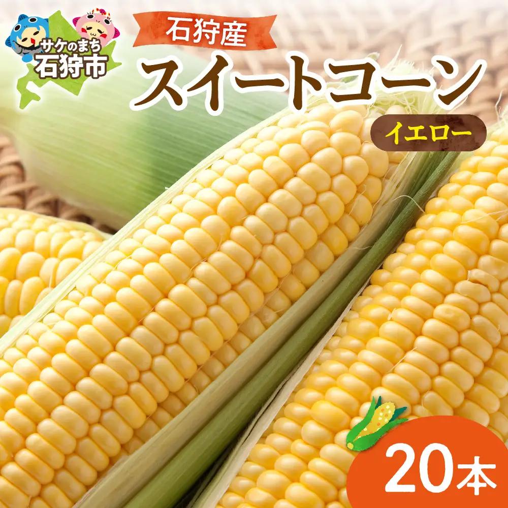 石狩産スイートコーン(色：イエロー） 20本【8月～9月発送】｜ 北海道産 とうもろこし 野菜 北海道 石狩市